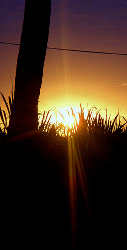 Ballad for the New World